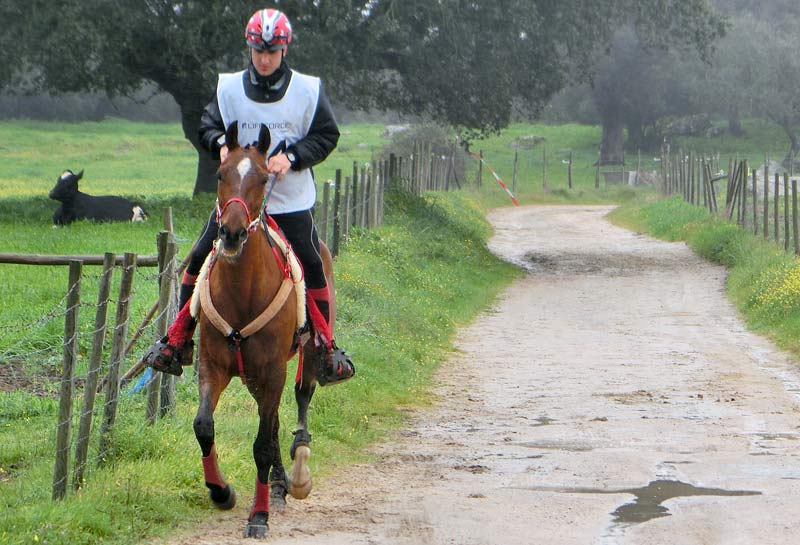 Jon Fern&aacute;ndez de Antona campe&oacute;n del Raid CEI3* de &Eacute;vora (Portugal)